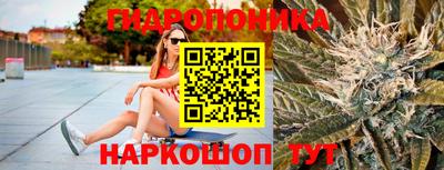 амф Боровичи
