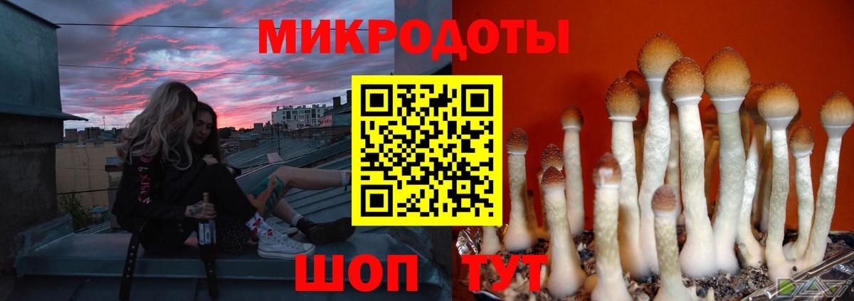 Галлюциногенные грибы мицелий Якутск